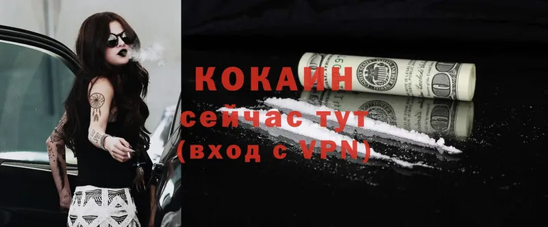 COCAIN Fish Scale  купить   Горбатов 